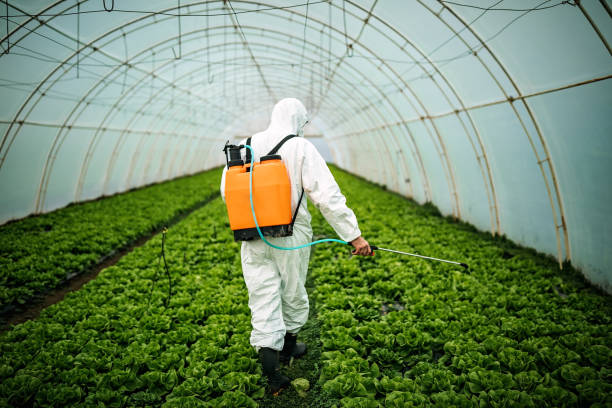 Best Best Pest Control Companies  in Spirit Lake, IA