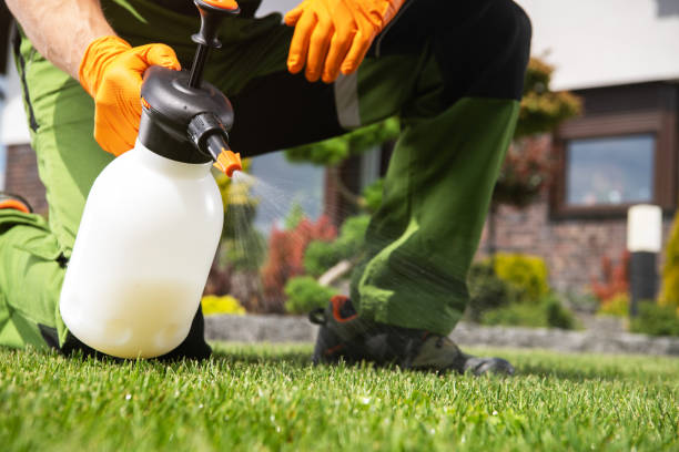Best Best Pest Control Companies  in Spirit Lake, IA