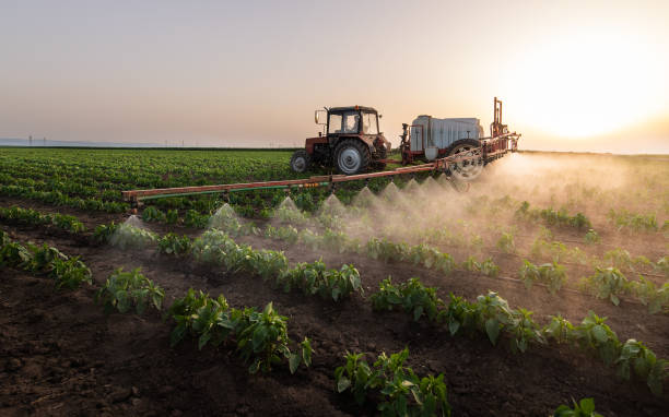 Best Local Pest Control Services  in Spirit Lake, IA