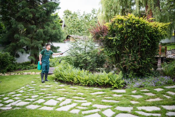 Best Wasp Removal Services  in Spirit Lake, IA
