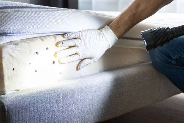 Best Pest Prevention Services  in Spirit Lake, IA