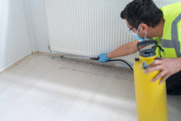 Best Local Pest Control Services  in Spirit Lake, IA