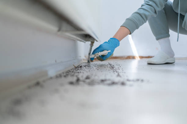 Best Pest Control Treatment  in Spirit Lake, IA