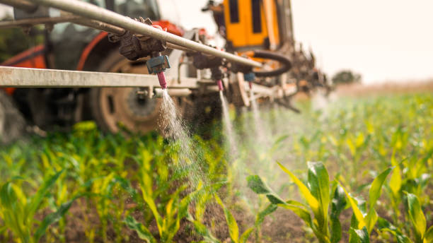 Best Pest Control for Homes  in Spirit Lake, IA